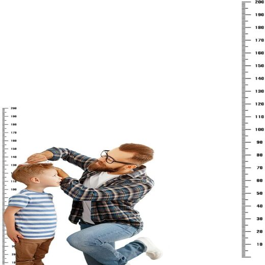 Height Sticker - Image 3