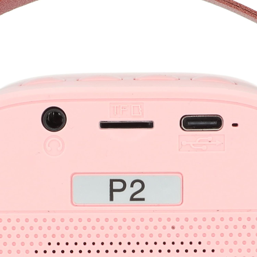 K 12 Speaker - Image 3