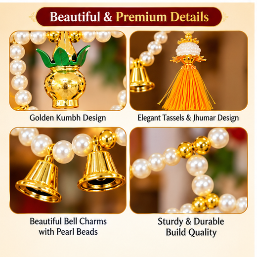 Fancy Bandharwal - Image 3