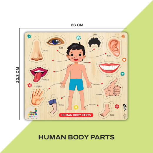 Body Parts Wooden Puzzle - Image 3