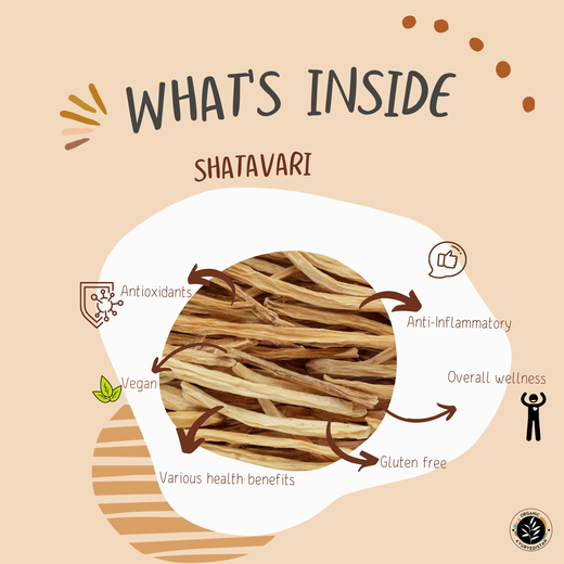 Shatavari Powder - Image 3