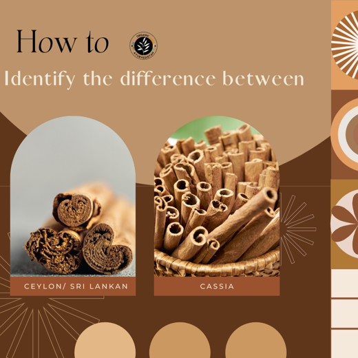 Cassia cinnamon sticks - Image 4