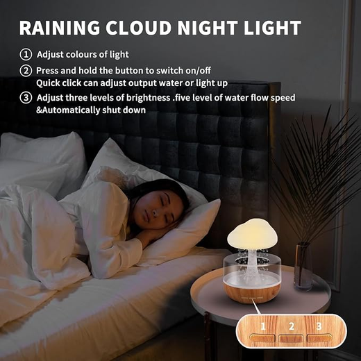 Rain Cloud Humidifier - Image 3