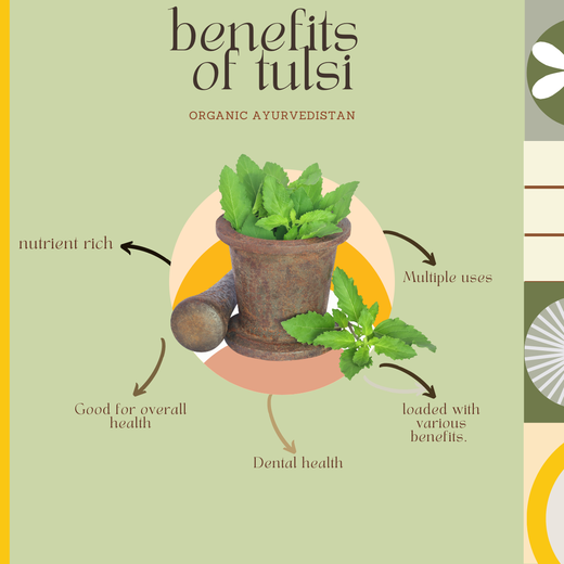 Tulsi Powder - Image 3