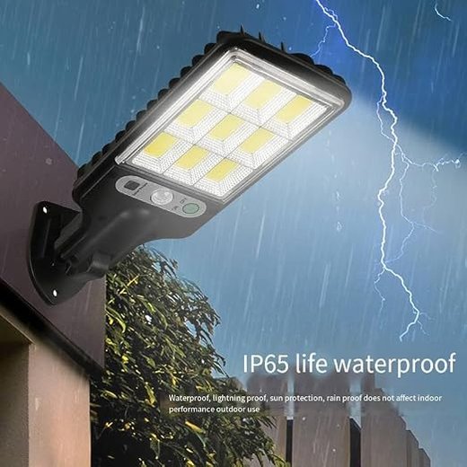 Solar Motion Sensor Security Light