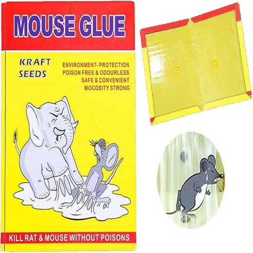Rat Glue Trap