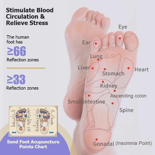 FOOT MASSAGER ROLLER - Image 4