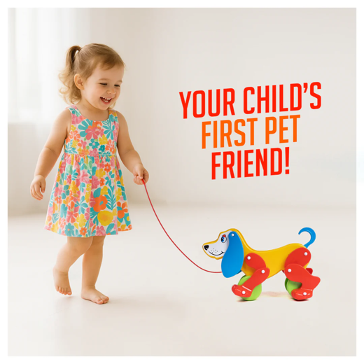 FLYI Pull Along Dog Toy with Floppy Ears and ting-ting Sound(2+ Years)