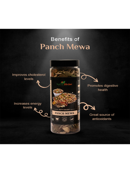 Nutty Delight of Panch Mewa - 200g - Image 2