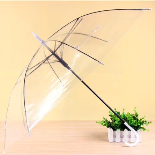 Transparency Umbrella - Image 4