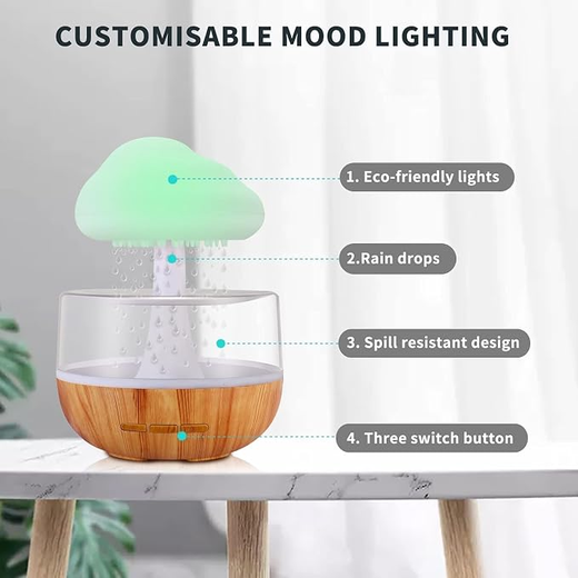 Rain Cloud Humidifier - Image 2