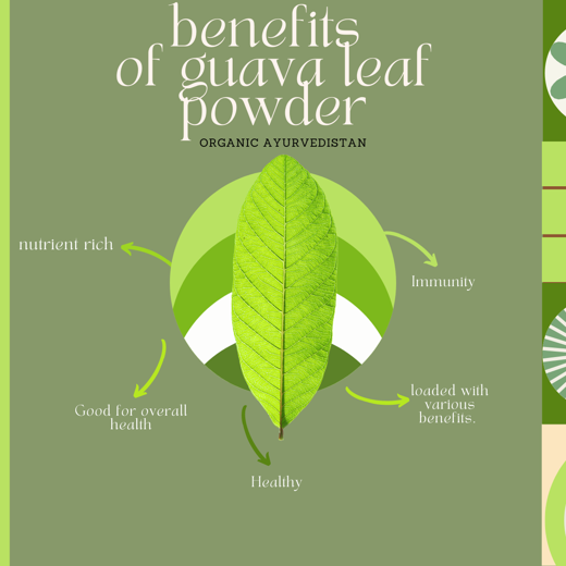 Guava leaves powder - Image 2