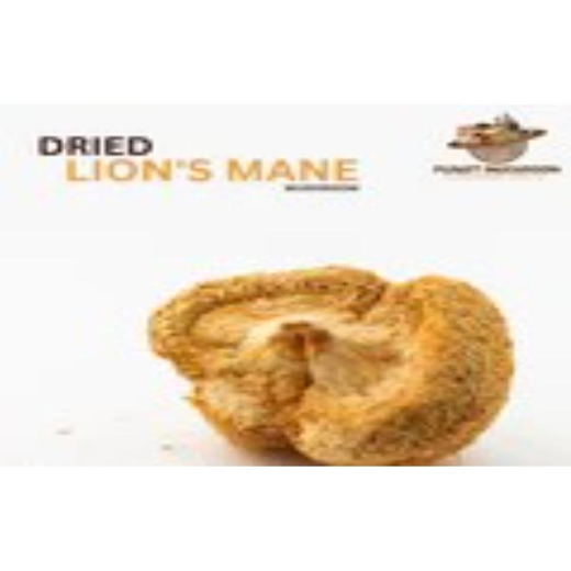 Dried Lions Mane Mushroom (whole body) - Image 4