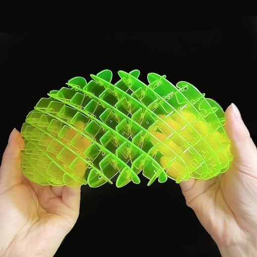 Fidget Worm Toy
