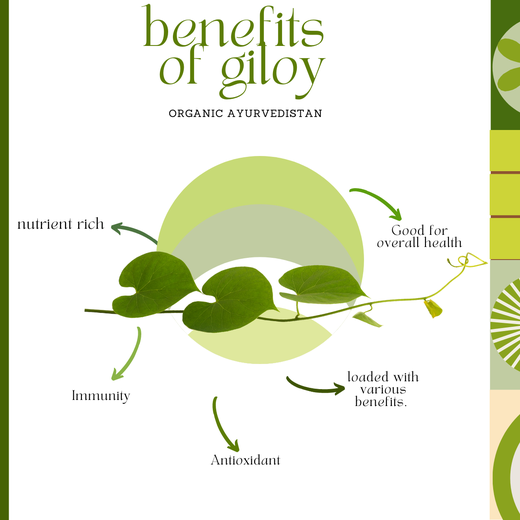Giloy Powder - Image 3