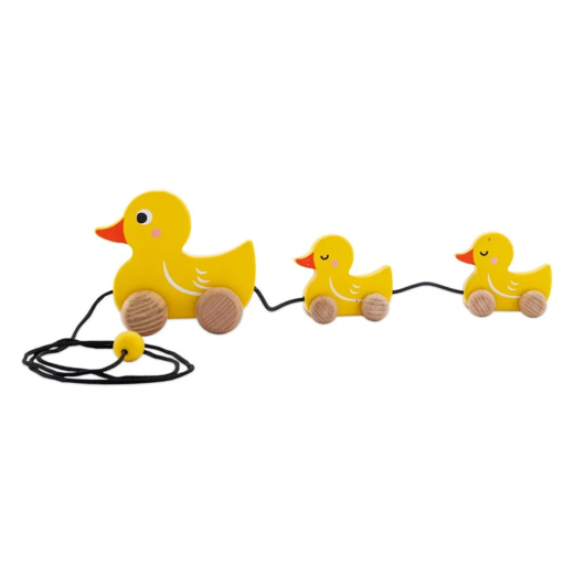FLYI - Pull Along Play Duck Family Toy for Kids (1+ Years) - Image 3