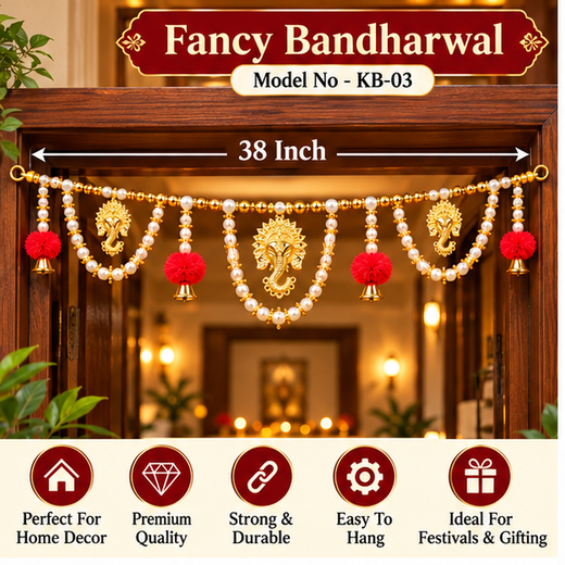 Fancy Bandharwal