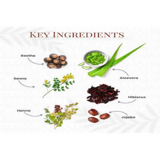 Derma Gel Hair color- 6G Golden Blonde m - Image 4