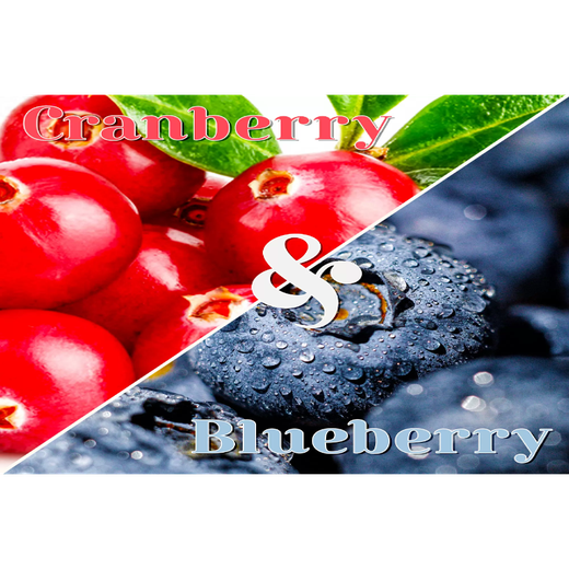 HONEY ROOTS BERRIES HONEY 100G - Image 2