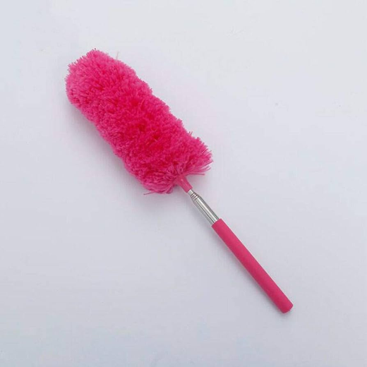 Cleaning Duster