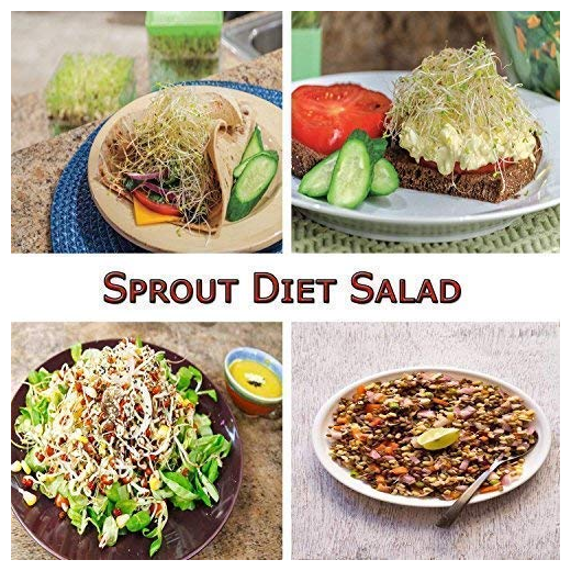 4 Container Layer Sprout Bowl Maker - Image 4