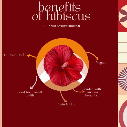 Hibiscus Powder - Image 3