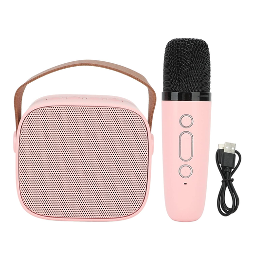 K 12 Speaker - Image 4