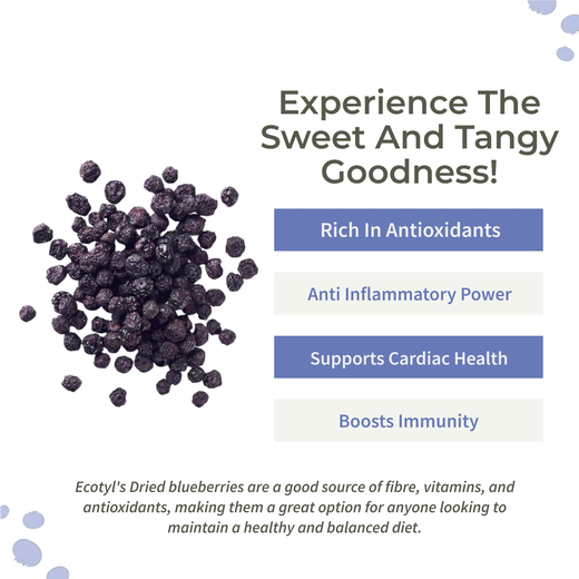 Ecotyl Dried Blueberries | Whole Dried Fruit | Healthy Snack |150g - Image 2