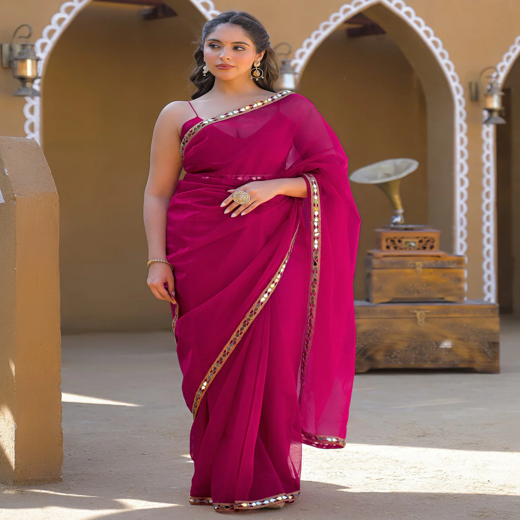 Rani Pink Net Mirror Work Lace Saree