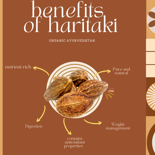 Haritaki Powder - Image 3