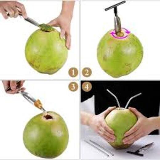 Coconut Drill - Image 4