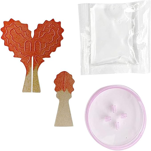 Magic Growing Paper Tree
