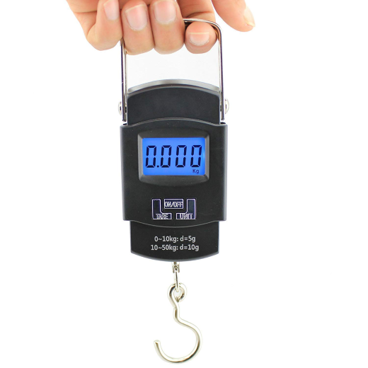 50KG Scale