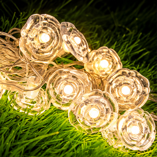 French Rose String Light (14 Rose)🌹