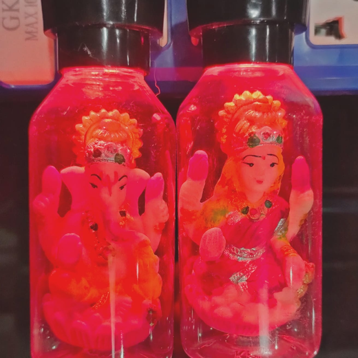 Set of Lakshmi Ganesh ji Multicolour Light 🔌