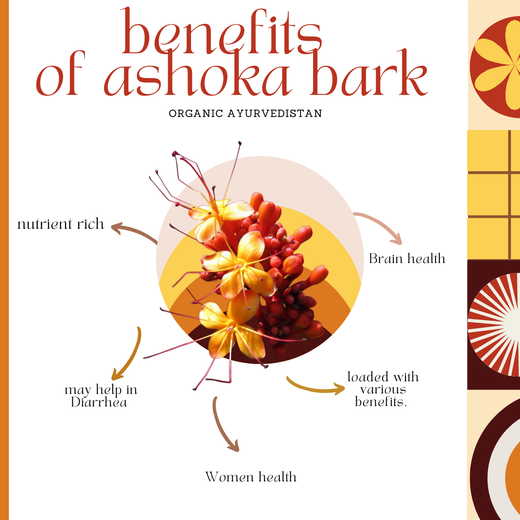 Ashoka bark powder - Image 3