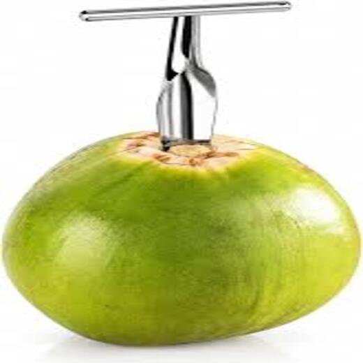 Coconut Drill - Image 2