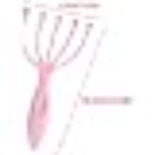NINE FINGER BALL HEAD MASSAGER - Image 3
