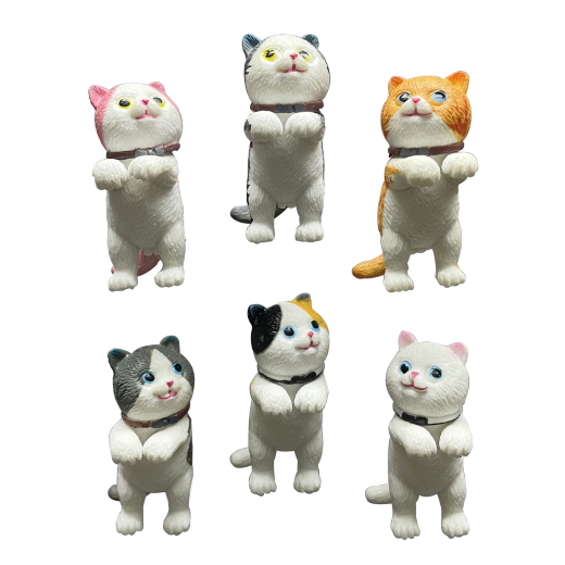 New cat set of 6 - Image 4