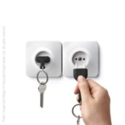 Double Unplug Key Holder