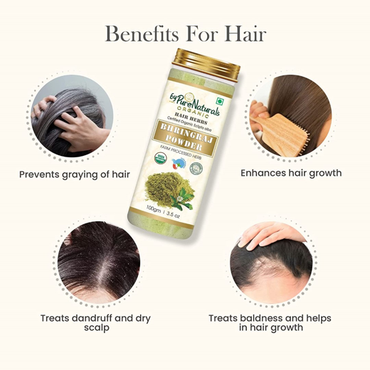 Natural Herbal Organic Bhringraj Powder - Image 4