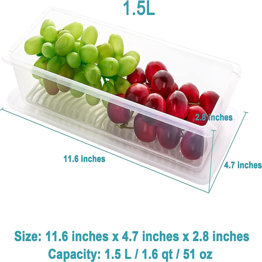 Fridge Storage Container with Removable Drain Plate - Image 4