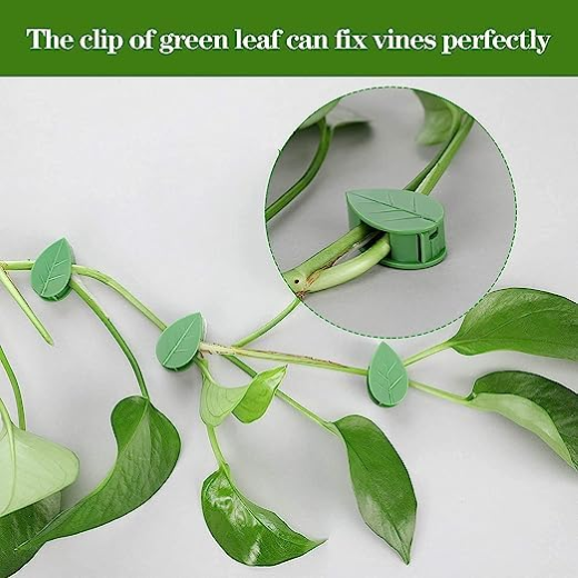 Plant Climbing Fixing Clip (30pc) - Image 2
