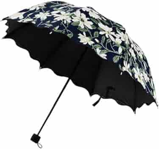 Rubber Printed Umbrella