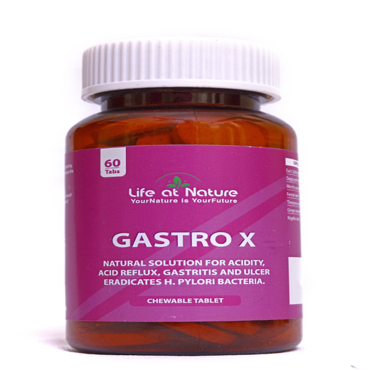 GASTRO X - Image 3