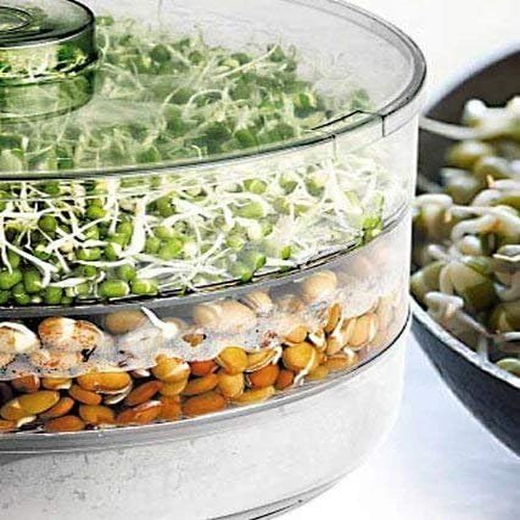 3-Layer Sprout Maker Container - Image 3