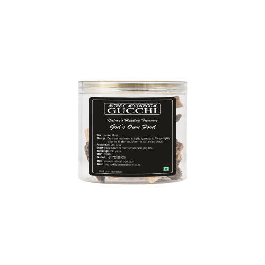 Gucchi Mushroom (Mini Size)