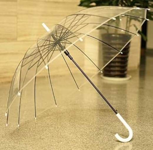 Transparency Umbrella - Image 3