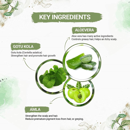 Organic Powder Burgundy Hair Color for Men & Women - Image 4