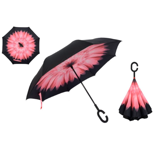 C Umbrella - Image 4